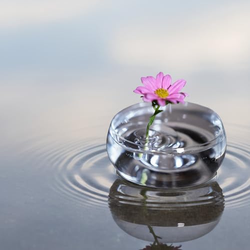 Creative Floating Flower Arrangement Holder Floral Stem for Water (10)