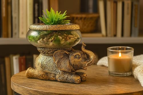 Good Luck Elephant Terrarium Bowl – Antique Gold Elephant Figurine with Removable Glass Bowl, Succulent Planter, Candle Holder, Air Plant Display & Zen Home Décor Accent