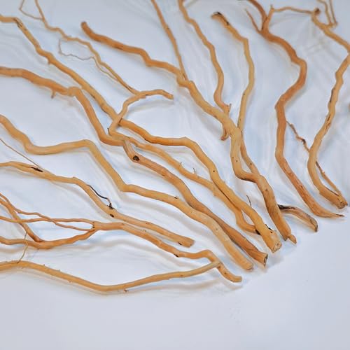 Azil Natural Aquarium Driftwood Root – Driftwood for Aquarium Decor, 250g ≈ 0.551 lb (10″–15''), Fish Tanks, Terrariums, Aquascaping & Planted Tanks - size: root mix 10 - 15 inch