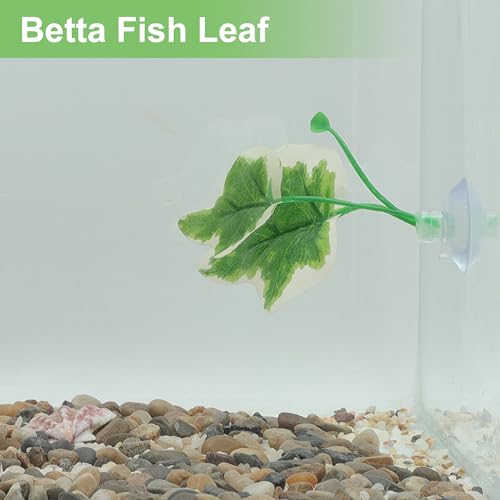 Betta Fish Leaf, Natural Habitat Simulation for Betta Spawnings Grounds, Betta Spawnings Leaves, Resting Bed, Large Small Leaves, White Green