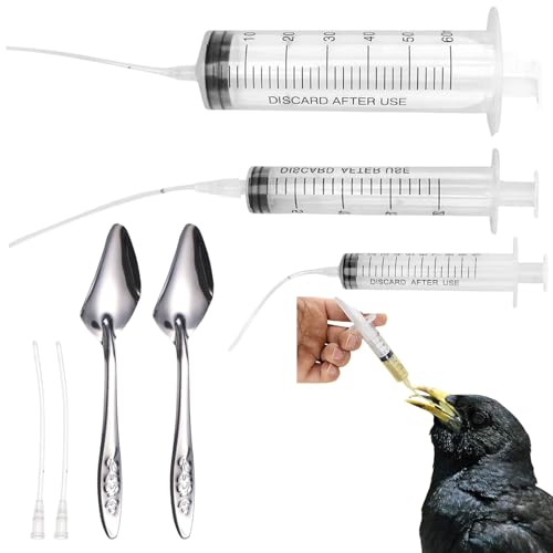 Baby Bird Feeding Syringe Set, Pet Parrot Milk Feeding Syringe with Tubes, Parrot Feeding Tubes Measuring Tools for Feeding Pets Scientific Industrial Labs… (10ml+20ml+ 60ml +2 spoons) - color: 10ml+20ml+ 60ml +2 spoons