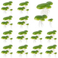 Framendino, 54 Pack Floating Aquarium Plants Artificial Plastic Fake Duckweed Simulation (3 Size) - size: 54 Pack