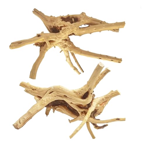 Jorewood Natural Large Spiderwood Driftwood for Aquarium Decor Rptile Fish Tank Decoration Assort Branch 11-14'' 2 Pcs - size: Spiderwood 11 to 14 Inch (Pack of 2)