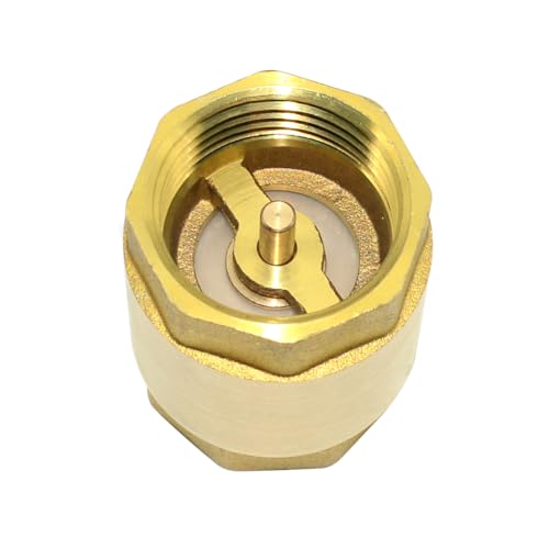 DAN SPEED Brass Check Valve,Female Thread Spring Check Valve,One Way Horizontal Check Valves for Backflow Prevention,Well, Pump, Tank ((DN25) 1'')