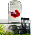 Inverted Betta Tank Holder Kit, 360-Degree Panoramic View for Betta Fish, Expands Swimming Space, Aquarium Inverted Holder, Made in Canada (Black, Small Kit with Jar) - size: Small Kit with Jar