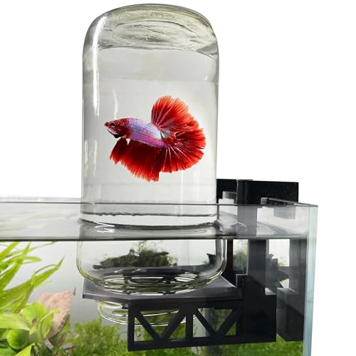 Inverted Betta Tank Holder Kit, 360-Degree Panoramic View for Betta Fish, Expands Swimming Space, Aquarium Inverted Holder, Made in Canada (Black, Large) - size: Large Kit