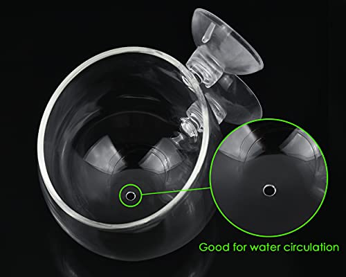 DS. DISTINCTIVE STYLE Aquatic Plant Cups 2 Pieces Crystal Glass Plant Pot with 2 Suction Cups for Aquarium Decoration