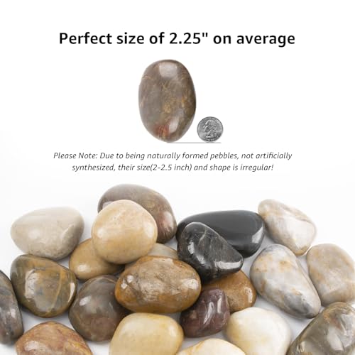 10lbs 2-3 Inch River Rocks, Decorative Mixed Pebbles for Garden Landscaping, Indoor Plants, Fish Tanks, Vases, and Succulents – Ideal for Home Decoration and Outdoor Gardens (Mixed, Weight: 10 LB) - color: Mixed, size: Weight: 10 LB