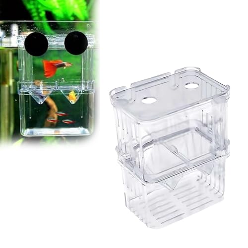 Aquarium Fish Breeder Box,Acrylic White Breeder Isolation Divider Hatching Boxes Accessory,Aquarium Acclimation Hatchery Incubator for Small Baby Fishes Shrimp Clownfish Guppy (L) - color: L