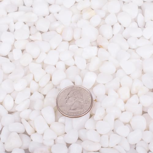 2.0 LB White Aquarium Gravel Pebbles 3/8", Natural Decorative Aquarium Substrate Small River Rocks, Mini Pebbles Stone for Fish Tank, Aquatic Plant Bonsai, Hydrophyte - size: 2.0 Lb