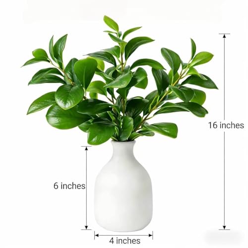 16" Artificial Peperomia in White Ceramic Bud Vase Lifelike Two-Tone Green Leaves Faux Plant Table Centerpiece for Indoor Home Office Shelf Desk Bathroom Decor