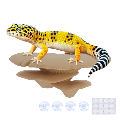 Westant Mushroom Decor for Reptile Tank, Fish Tank, Pet-Safe Bearded Dragon Tank Accessories, Realistic Terrarium Plants for Leopard Geckos, Crested Geckos, Tree Frogs, Snakes (Almond, Trio Cap) - color: Almond, size: Trio Cap
