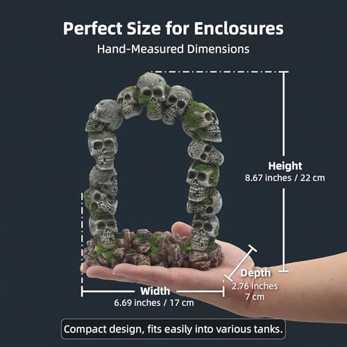 relaqcc Aquarium Skull Cave Rocks, Reptile Tank Accessories, Fish Tank Decorations for Amphibians, Betta Fish, Shrimp, Hermit Crab, Leopard Gecko - style: Type-E