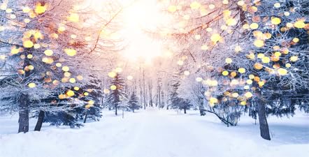 60X24IN Winter Snow Scene Aquarium Background, White Snow Covered Trees Pathway in Sunshine Season Scenic Fish Tank Decorations, Christmas Art Terrarium - size: 60X24in/150X60cm
