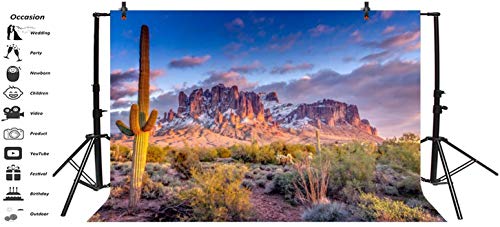 Leyiyi 5x4ft Arazona Mountain Cactus Photography Background Desert Sunset Summit Western American Travel Hiking Desert Flora Cloud Desolate Cowboy Polyester Backdrop Terrarium Background - color: Desert1, size: 5x4ft-P
