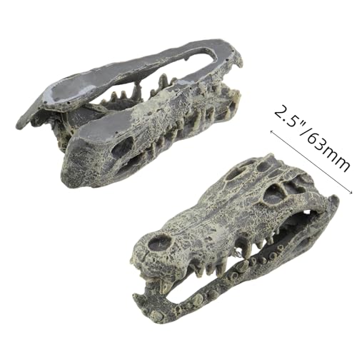 1 Pcs Resin Dinosaur Skull Aquarium Ornament, T-rex Skull Dinosaur Head, Tyrannosaurus Rex Head Skull Sculpture Fossil Figurine for Fish/Shrimp Hiding, 5.7"x2.5"x2.2"/145x63x56mm - size: 5.7"x2.5"x2.2"/145x63x56mm(LxWxH)