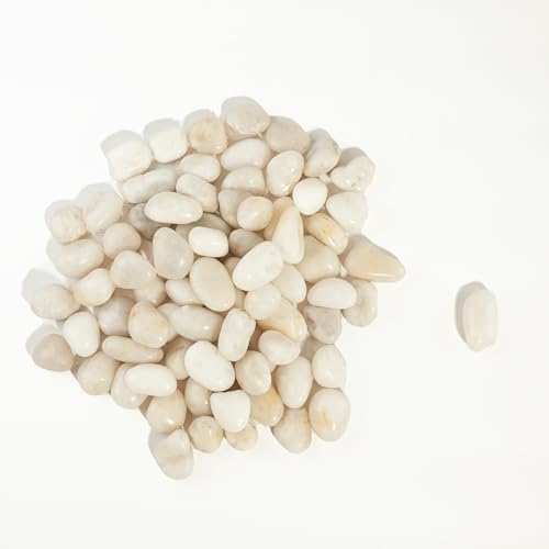 300 LBS River Rocks, StoneCreek, Decorative Garden Stones for Plant Landscaping, Polished Gravel Filler Pebbles for Home Decoration, Vases, Succulents, Flower Beds and Fish Tanks (White, Medium) - color: White, size: 300 LBS
