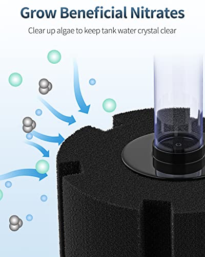 Pawfly Aquarium Bio Sponge Filter Quiet Betta Fry Shrimp and Small Fish Foam Filter for Fish Tanks up to 100 Gallons