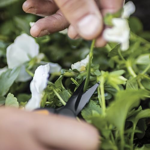 Fiskars 6" Pruning Scissors (2-Pack) for Flowers, Buds, Weeds and Small Plants, Garden Snips with Resin Resistant Nonstick Stainless Steel Blades, Gardening Trimmers with Comfortable Handle - style: Pruning Snips (Non Stick 2 Pack)