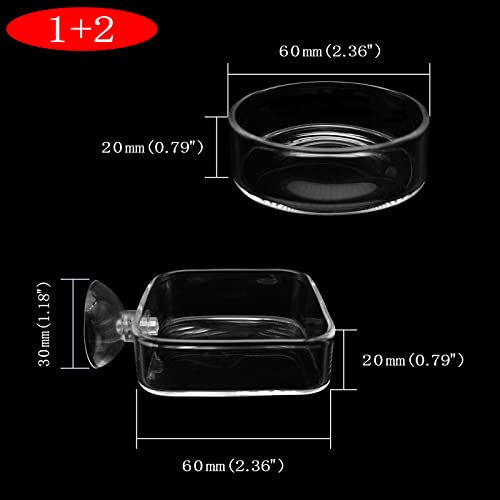 Aquarium Shrimp Feeder Dish Glass Fish Tank Feeding Bowls, 2pcs Square Glass Food Bowl (60mm), 1pcs Round Fish Feeding Bowls with Suction Cups (60mm) - size: 3x Bowl Combine 4