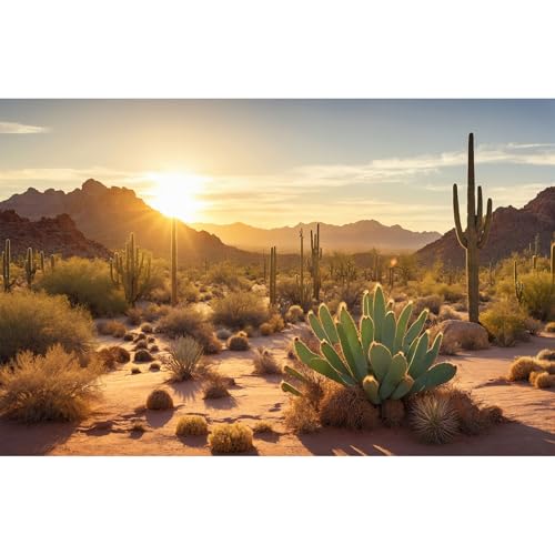 Reptile Habitat Background Sunset Desert Tank Decors Saguaro Cactus Arid Mountain Range Terrarium Background Cacti Sand Dunes Aquarium Background Desert Mountain Fish Tank Background 30x12in - color: Orange, size: 30(W)x12(H)in