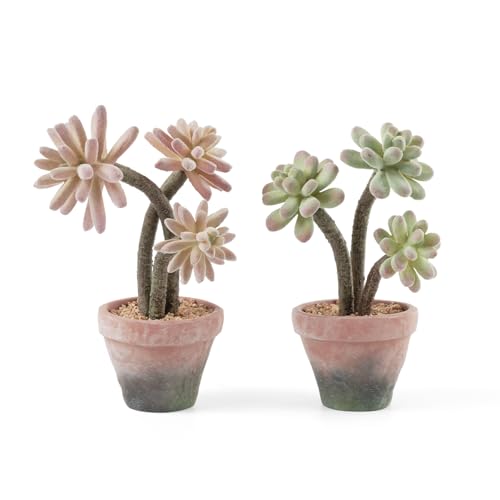 2-Pack Artificial Succulent Plants in Vintage Plastic Pots - Waterproof Fake Succulents Decor for Home, Office, Desk - Low Maintenance Indoor Plants for Bathroom, Shelf, Table Decor - color: Succulent-a-2pcs