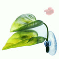 DODO Aqua Betta Fish Leaf Soft Bed Simulating The Natural Habitat for Betta Spawning Grounds Breeding Resting Bed Plastic Suction Cup (1pcs) - size: 1pcs