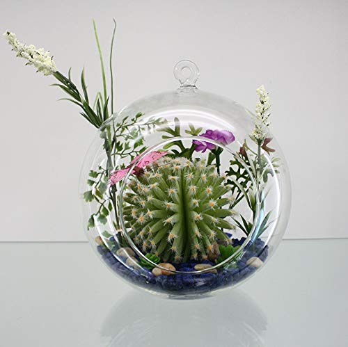 WGV Hanging Terrarium Globe, Width 5", Height 6", DIY Air Succulent Planter, Clear Glass Vase Orb with Flat Bottom, Candle Holder for Windowsill Outdoor Garden Decor, 6 Pieces Bulk - size: 5" Flat Bottom