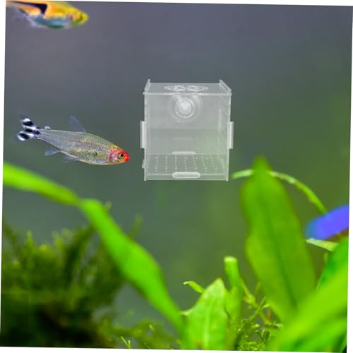 Acrylic Fish Breeding Box for Aquarium Isolation Tank Hydroponic Separator with Suction Cups