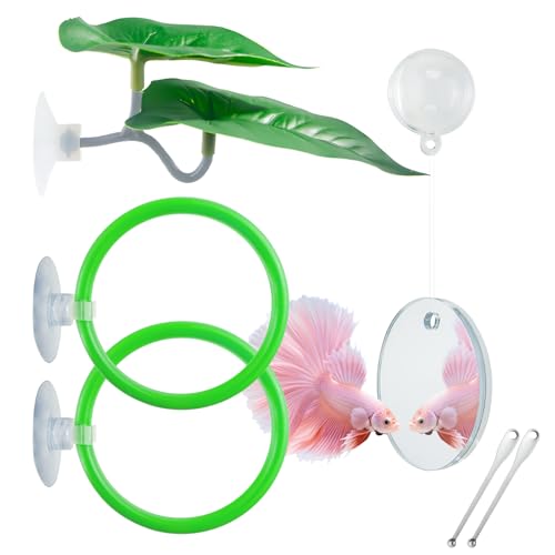 Betta Fish Toy Set: Betta Training Floating Mirror, Training/Feeding Ring, Spoon, and Resting Leaf. Promotes Exercise. Betta Toys, Resting & Feeding Kit. - color: Green