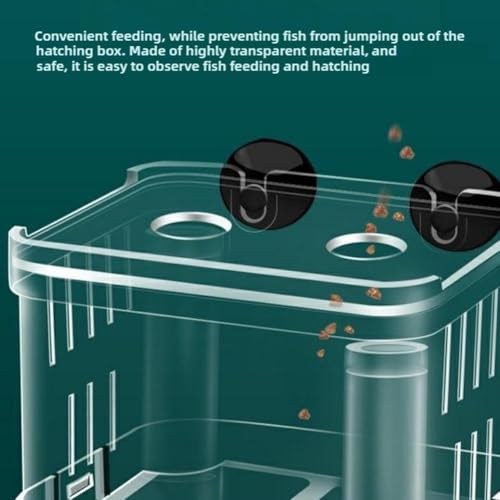 Aquarium Fish Breeder Box,Acrylic White Breeder Isolation Divider Hatching Boxes Accessory,Aquarium Acclimation Hatchery Incubator for Small Baby Fishes Shrimp Clownfish Guppy (L) - color: L