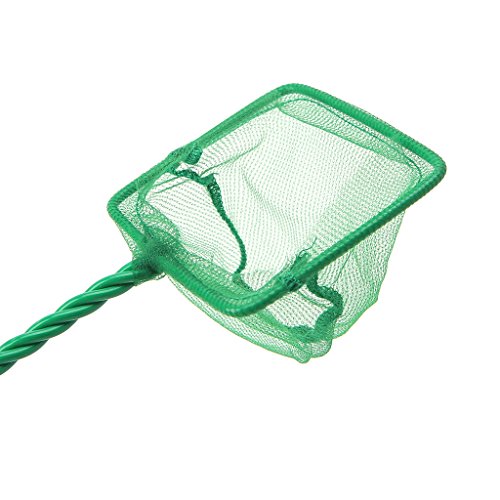 Fish Net for Fishing 3 4 5 6 8 10In Fine Net Aquariums Accessories for Fish and Shrimp Comfort Handle Aquariums Netting