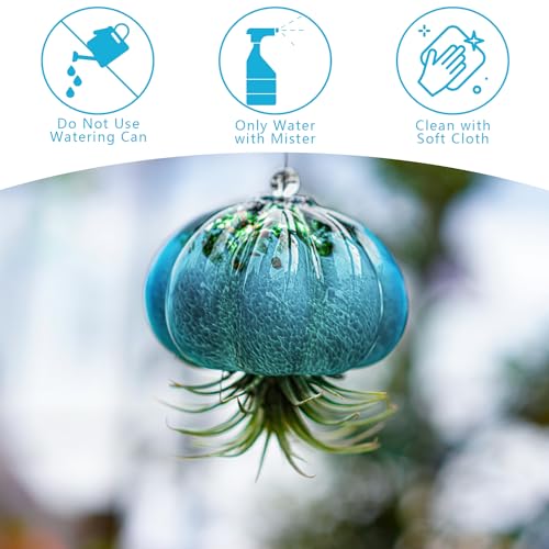 H&D HYALINE & DORA Handmade Blown Glass Hanging Jellyfish Air Planter for Live Succulent Air Plants (No Plants) - color: Jellyfish-sea Blue