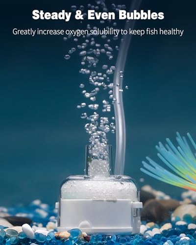 Pawfly Mini Aquarium Sponge Filter, Small Fish Tank Internal Filter with Foam and Air Stone Submersible Bio Sponge Filter for Fish Tanks up to 5 Gallon (Air Pump & Airline Tubing Not Included) - size: Small