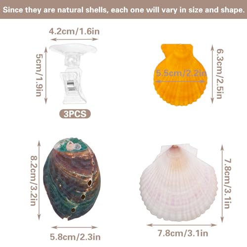 3 PCS Natural Shell Betta Fish Resting Spot, Betta Hammock Small Shell Bed with Suction Cups, Natural Habitat Breeding Spawning Ground for Betta, Shrimp, Aquarium Accessories Decorations