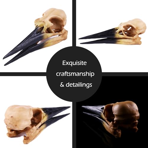 Fish Cave Hideout Ornament Décor for Terrarium Dinosaur Animal Skull Aquarium Large Decorations Betta Tarantula Reptile Snake Decor Bones Halloween - color: Pterosaur