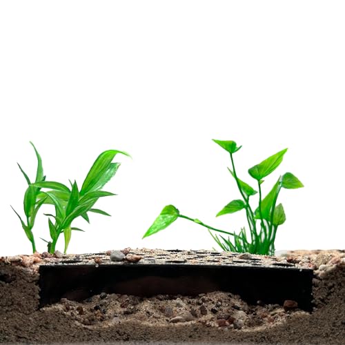CTWPets Shrimp Breeding Protector | Shrimp Breeding Cave Aquarium Tunnel (Black) - color: Black