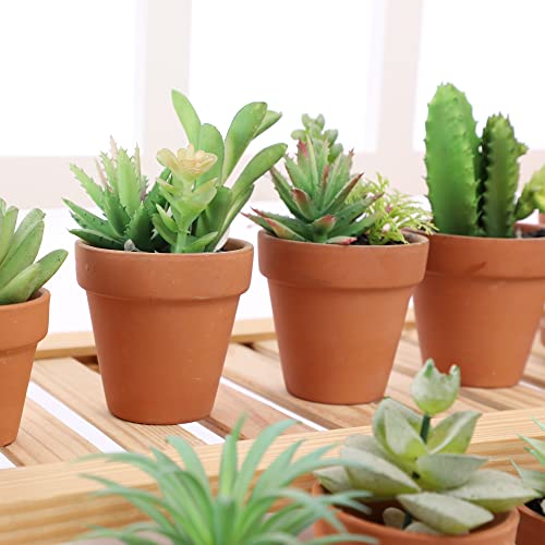 Yishang 2.5 inch Terracotta Pots with Drainage Holes,Small Mini Clay Ceramic Pottery Planter,Cactus Flower Terra Cotta Pots,Succulents Nursery Pots for Indoor/Outdoor Plants,Crafts,Wedding-12 Pack - color: Terracotta