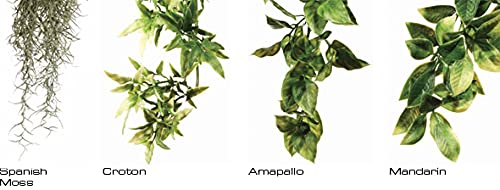 Exo Terra Plastic Terrarium Plant, Small, Amapallo - color: Multi Color, size: Small