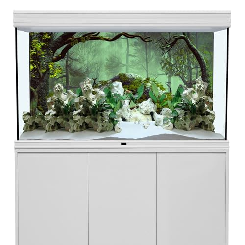 24x12 inches Foggy Forest Terrarium Background Stone Green Tree Tropical Reptile Habitat Backdrop Rainforest Aquarium Backdrop Durable Polyester Background