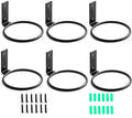 Plant Holder Ring 4 Inch Wall Mounted, 6 Pack Flower Pot Hangers Metal Plant Stand Hanging Bracket Basket Hooks - size: 4 inch-6 Pack