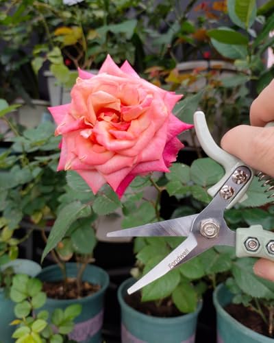 Fondwell 6" Pruning Shears Garden Scissors: Ultra Sharp Garden Clippers - Reliable Flower Snips for Trimming Small Plants - style: 6" Straight