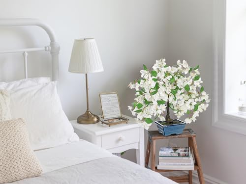 Briful Artificial Bougainvillea Tree in Blue Pot 18.5" Tall Faux Bougainvillea Floral Tree Tropical Silk Fake Bougainvillea Plant for Home Office Living Room Table Décor(White) - color: White 18.5in, size: 1ft 4in