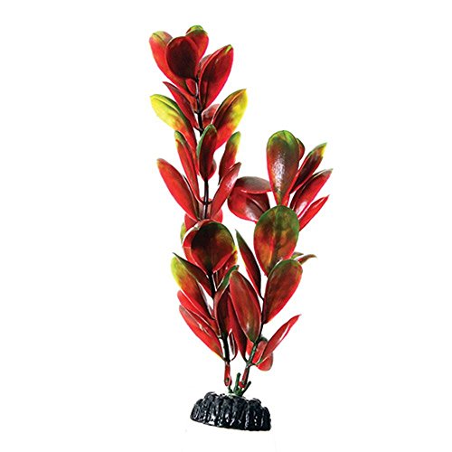 Underwater Treasures Red/Green Bacopa - 8"