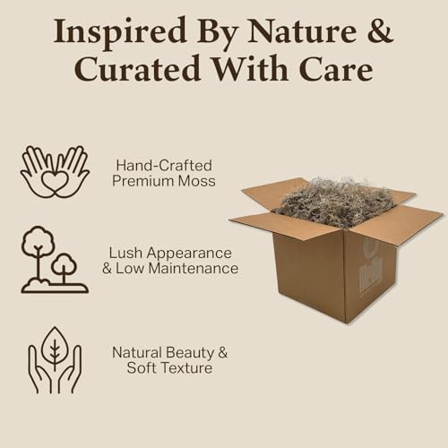 Preserved Spanish Moss - Decorative Moss - Dried for Crafts, Home Decor, Art, Design & DIY Projects - for Indoor Use - Natural - Standard Box - Covers 10-12 sq. ft. - color: Natural, size: Large