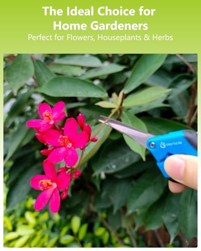 6.5" Garden Scissors Pruning Shears: 2 Pack of Trimming Scissors for Small Plants - High Cutting Efficiency Flower Snips for Gardening