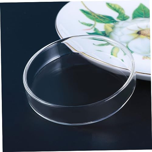 BESPORTBLE 1pc Glass Shrimp Feeding Bowl Round Dish for Fish Tank Glass Feeder for Shrimp and Reptiles Elegant and Aquarium Supply