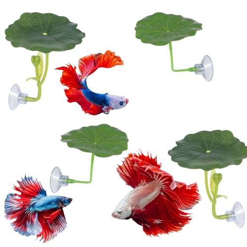 4 Pcs Betta Fish Leaf Hammock Betta Fish Bed Leaf Bettas Suction Cup Tank Decor Green Hammock for Fishes Spawning Grounds Practical Resting Spot Leaves Pad Simulates Natural Habitat Resting Bed