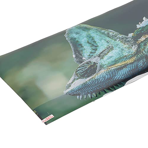 Aquarium Background PVC 3D Effects Fish Tank Decoration Picture, Self Adhesive Aquarium Sticker with Realistic Design, Non Durable Background for Freshwater (61 * 41CM) - size: 61*41CM