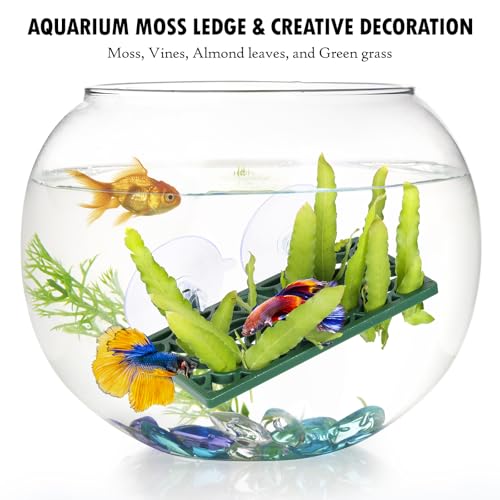 Abizoo Betta Fish Tunnel Hideout and Hammock Bed for Fish Aquarium Decoration, African Dwarf Frog Tank Accessories Hollow Design Habitat Cave for Betta Shrimp Guppies Neon Tetras Zebra Danios Snails - color: Dark green